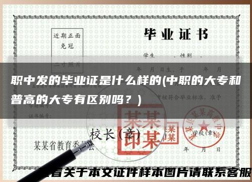 職中發的畢業證是什么樣的(中職的大專和普高的大專有區別嗎？)縮略圖