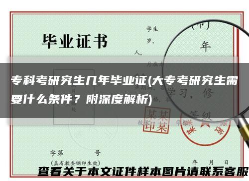 ?？瓶佳芯可鷰啄戤厴I證(大?？佳芯可枰裁礂l件？附深度解析)縮略圖