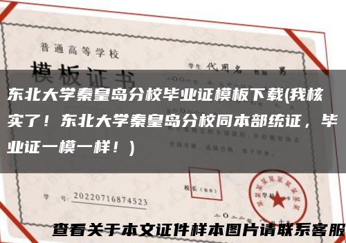 東北大學秦皇島分校畢業證模板下載(我核實了！東北大學秦皇島分校同本部統證，畢業證一模一樣！)縮略圖
