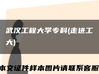 武漢工程大學?？?走進工大)縮略圖