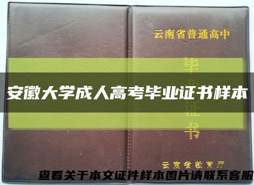 安徽大學成人高考畢業證書樣本縮略圖