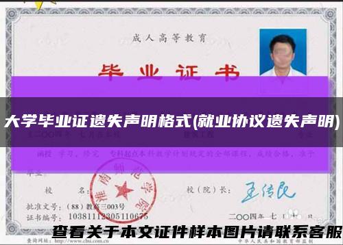 大學畢業證遺失聲明格式(就業協議遺失聲明)縮略圖