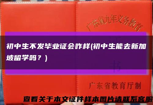 初中生不發畢業證會咋樣(初中生能去新加坡留學嗎？)縮略圖