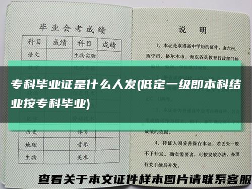 ?？飘厴I證是什么人發(低定一級即本科結業按?？飘厴I)縮略圖