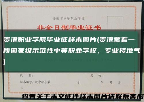 貴港職業學院畢業證樣本圖片(貴港藏著一所國家級示范性中等職業學校，專業接地氣)縮略圖