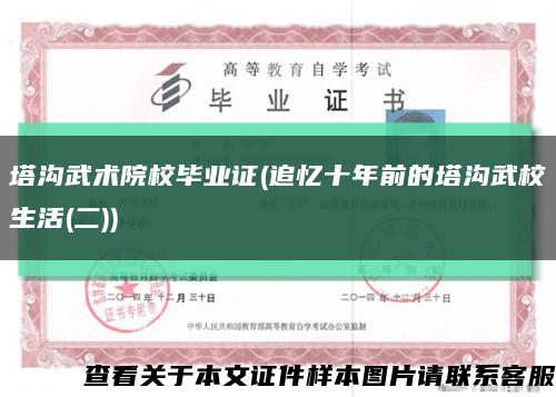 塔溝武術院校畢業證(追憶十年前的塔溝武校生活(二))縮略圖