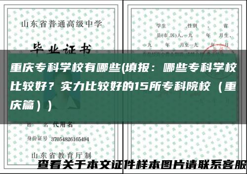 重慶?？茖W校有哪些(填報：哪些?？茖W校比較好？實力比較好的15所?？圃盒＃ㄖ貞c篇）)縮略圖