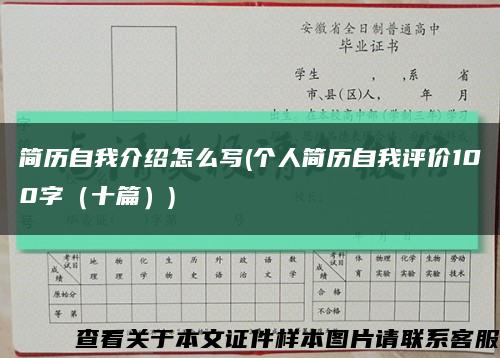 簡歷自我介紹怎么寫(個人簡歷自我評價100字（十篇）)縮略圖