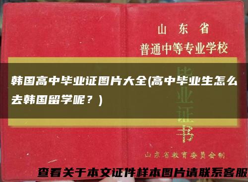 韓國高中畢業證圖片大全(高中畢業生怎么去韓國留學呢？)縮略圖