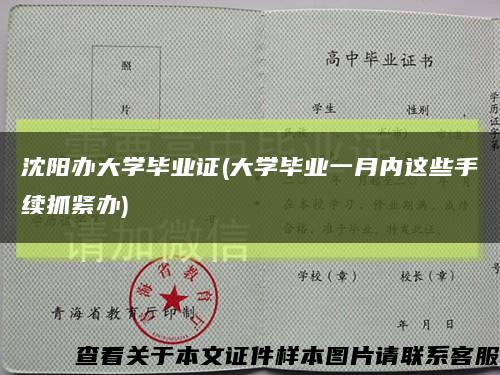 沈陽辦大學畢業證(大學畢業一月內這些手續抓緊辦)縮略圖