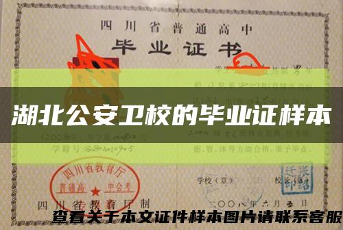 湖北公安衛校的畢業證樣本縮略圖