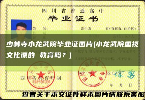 少林寺小龍武院畢業證圖片(小龍武院重視文化課的 教育嗎？)縮略圖