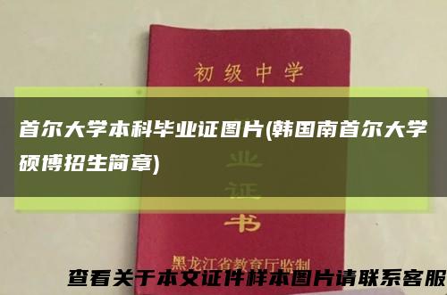 首爾大學本科畢業證圖片(韓國南首爾大學碩博招生簡章)縮略圖