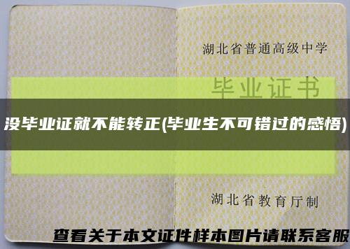 沒畢業證就不能轉正(畢業生不可錯過的感悟)縮略圖