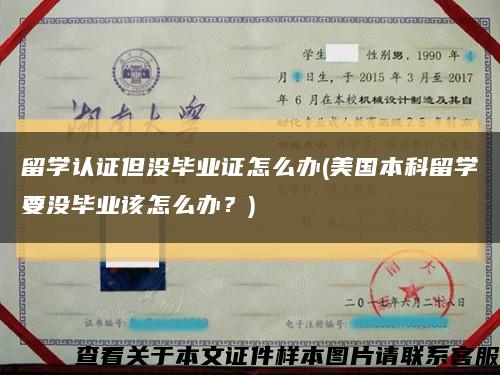 留學認證但沒畢業證怎么辦(美國本科留學要沒畢業該怎么辦？)縮略圖