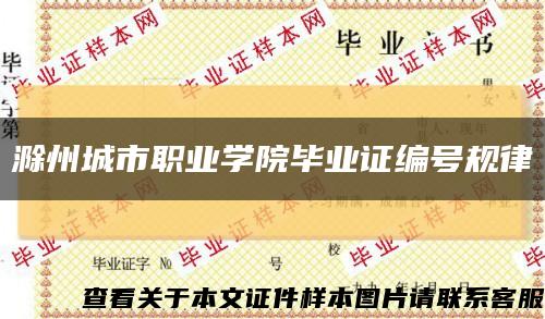 滁州城市職業學院畢業證編號規律縮略圖