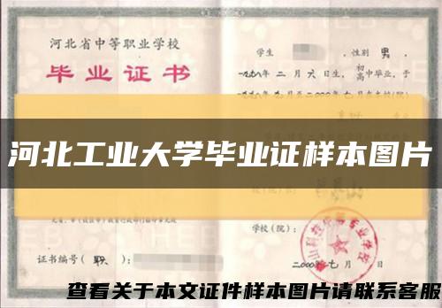 河北工業大學畢業證樣本圖片縮略圖