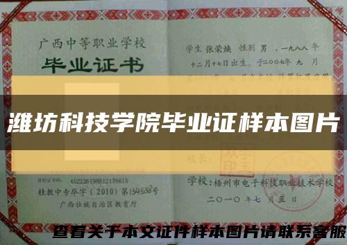 濰坊科技學院畢業證樣本圖片縮略圖