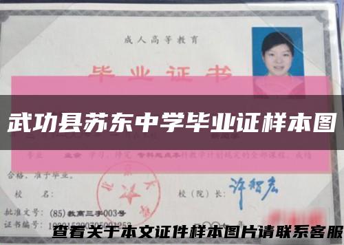 武功縣蘇東中學畢業證樣本圖縮略圖