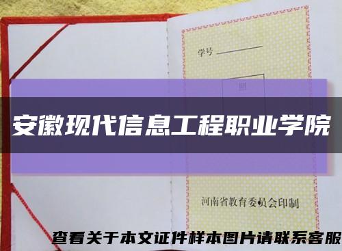 安徽現代信息工程職業學院縮略圖