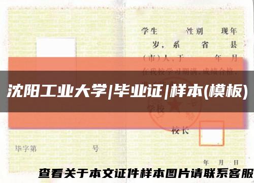 沈陽工業大學|畢業證|樣本(模板)縮略圖
