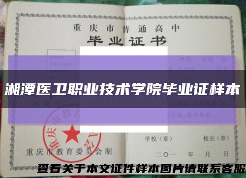 湘潭醫衛職業技術學院畢業證樣本縮略圖
