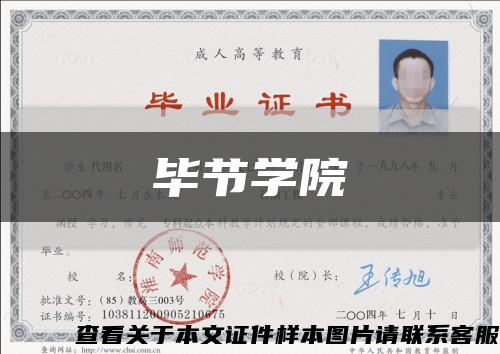 畢節學院縮略圖