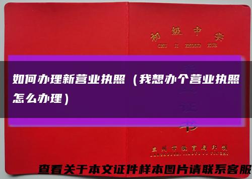 如何辦理新營業執照（我想辦個營業執照怎么辦理）縮略圖