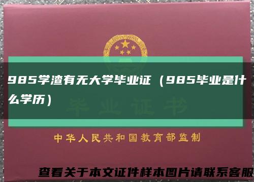 985學渣有無大學畢業證（985畢業是什么學歷）縮略圖