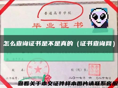 怎么查詢證書是不是真的（證書查詢網）縮略圖