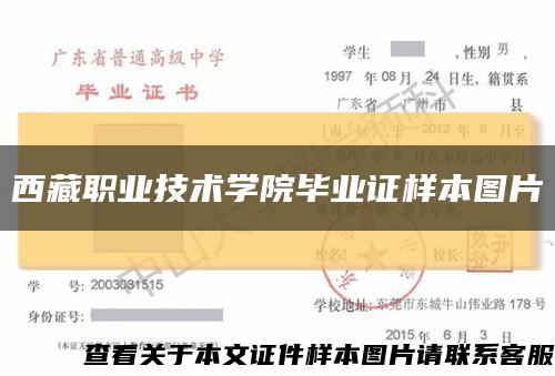 西藏職業技術學院畢業證樣本圖片縮略圖