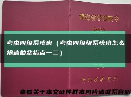 考蟲四級系統班（考蟲四級級系統班怎么搶請前輩指點一二）縮略圖