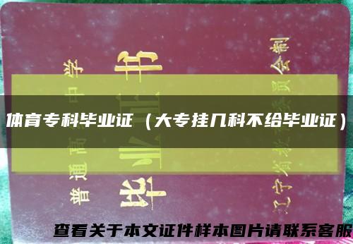 體育?？飘厴I證（大專掛幾科不給畢業證）縮略圖