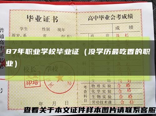 87年職業學校畢業證（沒學歷最吃香的職業）縮略圖