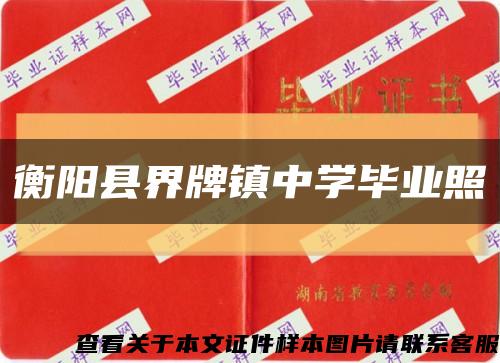 衡陽縣界牌鎮中學畢業照縮略圖