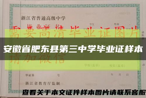 安徽省肥東縣第三中學畢業證樣本縮略圖