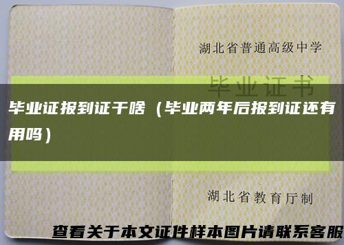 畢業證報到證干啥（畢業兩年后報到證還有用嗎）縮略圖