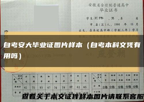 自考安大畢業證圖片樣本（自考本科文憑有用嗎）縮略圖