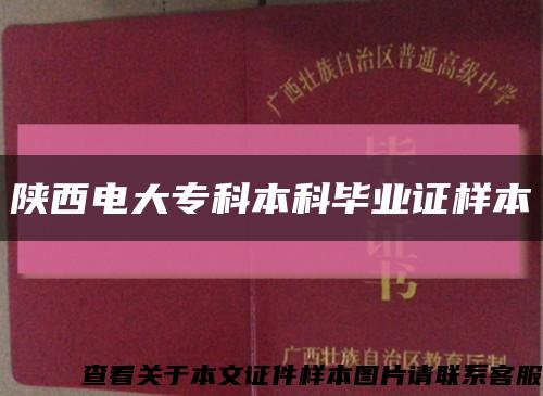 陜西電大?？票究飘厴I證樣本縮略圖