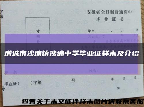 增城市沙埔鎮沙埔中學畢業證樣本及介紹縮略圖