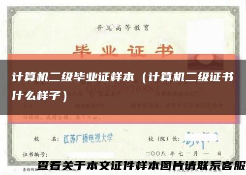 計算機二級畢業證樣本（計算機二級證書什么樣子）縮略圖