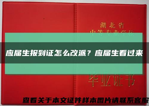 應屆生報到證怎么改派？應屆生看過來縮略圖