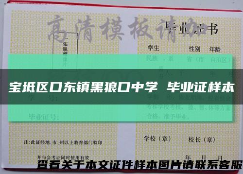 寶坻區口東鎮黑狼口中學 畢業證樣本縮略圖