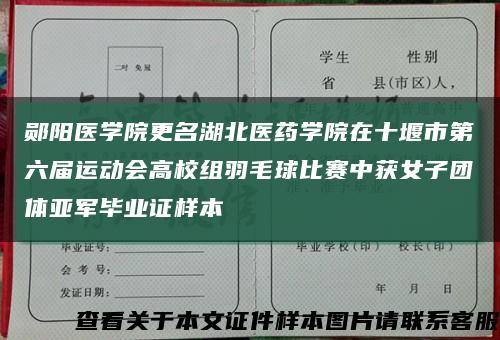 鄖陽醫學院更名湖北醫藥學院在十堰市第六屆運動會高校組羽毛球比賽中獲女子團體亞軍畢業證樣本縮略圖