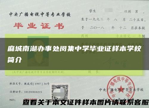 麻城南湖辦事處閔集中學畢業證樣本學校簡介縮略圖