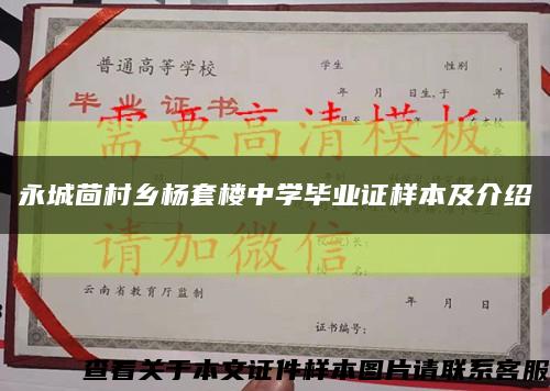 永城茴村鄉楊套樓中學畢業證樣本及介紹縮略圖