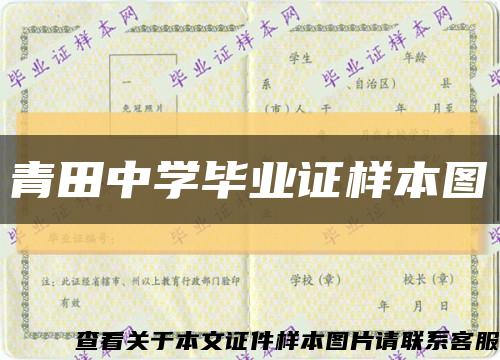 青田中學畢業證樣本圖縮略圖