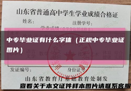 中專畢業證有什么字體（正規中專畢業證圖片）縮略圖