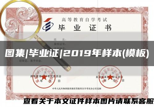 圖集|畢業證|2019年樣本(模板)縮略圖