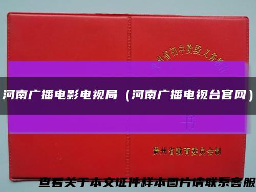 河南廣播電影電視局（河南廣播電視臺官網）縮略圖